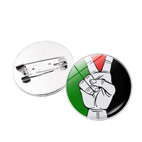 Artisanat en métal de haute qualité Souvenirs nationaux Palestine Pin Epoxy Dome Dress Bag Accessoires avec un insigne de revers de drapeau