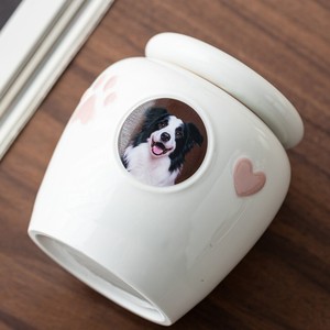 Luxuriöse Hochwertige Keramik-Urne für Haustiere, Gedenkbehälter aus Kunstharz, Hochwertiger Aufbewahrungstank für Katzen- und Hundeasche, Katzensarg & Urne - Product Image 4