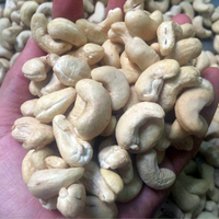 100% Natuurlijke Rauwe Cashewnoten Met Laag Vetgehalte Verse Pitnoten Geen Toevoegingen Verwerkt Gedroogd Fruit En Noten W180