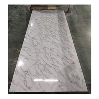 Panneaux muraux 3D pour la décoration intérieure, feuille de marbre en PVC, texture de panneaux muraux