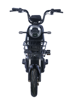 Vélo électrique urbain pour adultes, moteur 350W, batterie au plomb-acide 48V, frein à tambour, autonomie 40 km, avec panier de chargement avant