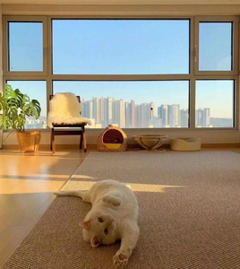 Tapis en sisal naturel de haute qualité, bouclette fine, pelucheux, écologique, antidérapant, extra épais - Product Image 6