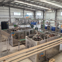 Ligne de production de purée de tomates entièrement automatique, industrielle, complète, haute productivité, personnalisée en usine