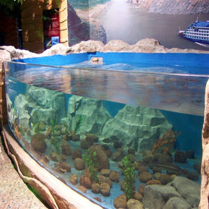 60Mm 100Mm 200Mm Gegoten Acrylplaten Dikte Grote Zoutwater Ultra Helder Glas Vis Aquaria & Tanks - Product Image 1