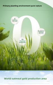 Flocons <span class=keywords><strong>de</strong></span> quinoa instantanés <span class=keywords><strong>Repas</strong></span> <span class=keywords><strong>de</strong></span> <span class=keywords><strong>substitut</strong></span> alimentaire léger Gruau <span class=keywords><strong>de</strong></span> quinoa Fitness paresseux Grain original Cuit Farine d'avoine <span class=keywords><strong>de</strong></span> quinoa en tranches minces - Product Image 3