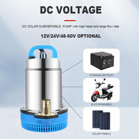 Pompa bawah air tenaga surya 12V/24V, pompa aliran matahari 12V/24V dengan Motor aluminium tekanan rendah, kepala DC besar, untuk pertanian irigasi air bersih