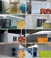 Fruitvoedsel Dehydrator Tray Dryer Machine Roestvrijstalen pomp Hoog rendement Automatische droogapparatuur