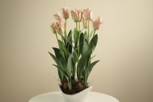 Handmade High Quality <strong>Tulip</strong> Artificial Flowers Real Touch Stylish Pot Wedding <strong>Table</strong> Centerpiece Decoration Latex Realistic - Product Image 3