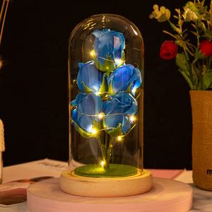 2025, regalo del Día <span class=keywords><strong>de</strong></span> San Valentín <span class=keywords><strong>de</strong></span> la madre para niñas y mujeres, jabón <span class=keywords><strong>de</strong></span> galaxia eterna, flor <span class=keywords><strong>de</strong></span> Rosa en cúpula <span class=keywords><strong>de</strong></span> cristal con luz LED - Product Image 6