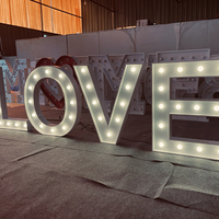 Enseigne au néon personnalisée de grande taille pour mariage, lettres géantes blanches « Love », enseigne lumineuse LED pour la maison, le centre commercial, l'entreprise, le parc, les bâtiments, en acier inoxydable, DC
