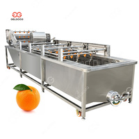 Groenten En Fruit Verwerken Suikerrietspray Reiniging Kokosvlees Wasmachine