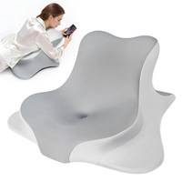 Coussin multifonctionnel Miandao pour lire au lit, coussin de lecture pour adultes, coussin de soutien lombaire pour s'asseoir au lit
