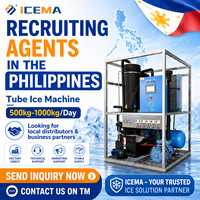 Máquina de Hielo en Tubo de 500kg-1000kg/Día, 220V 60Hz, Enfriada por Aire y Agua, Máquina Industrial de Hielo Cristalino para Negocios de Hielo en Filipinas