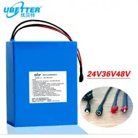 OEM Lithium Ion Battery Pack, Lifepo4, 12V, 24V, 36V, 48V