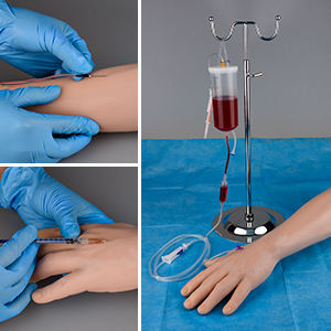 แบบจำลองฝึกเจาะเส้นเลือดสำหรับเด็ก คุณภาพสูง ยี่ห้อชิโนน สำหรับฝึกเจาะเส้นเลือดแขนและศีรษะ ฝึกเจาะเส้นเลือดแดง - Product Image 2