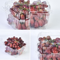 Contenant en plastique PET transparent pour fruits frais, type clamshell, 3 lb, pour myrtilles et raisins, emballage alimentaire à emporter