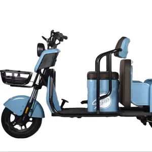 China tres ruedas 1000W gasolina camión motocicleta carga triciclo eléctrico