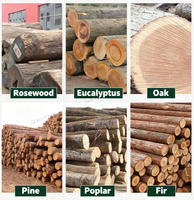 Machine d'écorçage garantie de satisfaction de machines à bois robustes pour dispositif d'arrondi de bûches de bois