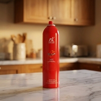 Extincteur portable à base d'eau 500 ml Non toxique Facile à utiliser 360° °   Protection incendie complète pour la maison, la voiture, le bureau, le camping