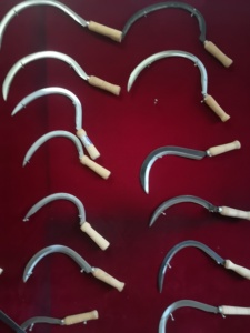 Faucille à manche en bois S202 - Product Image 4