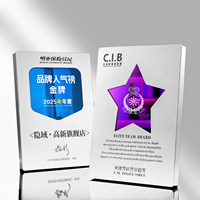 Plaque commémorative personnalisée en métal miroir créative pour entreprise, trophée de récompense d'honneur, certificat souvenir, impression UV