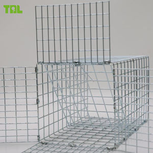 Productos de desalojo animal Válvula de exclusión de puerta unidireccional para ardillas - Product Image 3