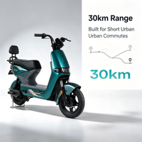 Scooter électrique de ville à 2 roues de 500 W, pneus à vide de 14 pouces, 3 vitesses, de haute qualité, directement de l'usine, à bas prix