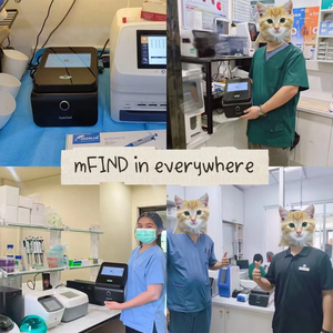Máquina de PCR en Tiempo Real para Clínica Veterinaria, Prueba de ADN de Patógenos Veterinarios para Caninos, Felinos, Porcinos y Aves - Product Image 5