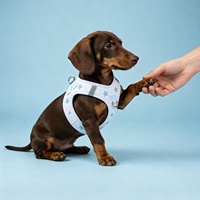 Harnais pour chien en néoprène Sunraymascota, simple et luxueux, avec laisse - Personnalisable, OEM, écologique et respirant