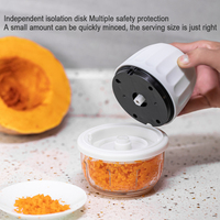 RAYBIN cuisine usb mini portable sans fil ail fruits légumes outils oignon nourriture électrique coupe-légumes