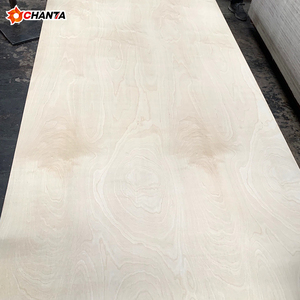Contrachapado de Abedul de Grado Mueble, 18 mm, Triplay de Abedul, Buena Calidad, Precio Económico, 1220*2440 mm - Product Image 3