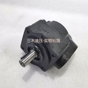 Pompe à aubes Funan DS-13-FR, 1 étage, en fonte, hydraulique, à cylindrée fixe - Product Image 4