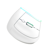 Souris verticale ergonomique sans fil à double mode rétroéclairée RGB 2.4G+BT, souris rechargeable sans fil pour ordinateur et ordinateur portable