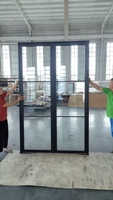 Puertas de Entrada Modernas de Acero y Vidrio Estilo Francés con Aislamiento Térmico para Uso Exterior