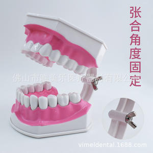 Orthodontic Dental Model Semi-Ceramic Semi-Metal <b>Brackets</b> <b>Plastic</b> Implant Prosthesis for Doctor-Patient Communication Teaching - Product Image 3