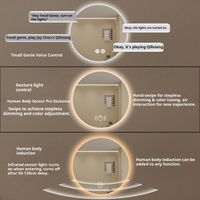 Miroir de salle de bain intelligent rond illuminé moderne Tmall Genie avec cadre en aluminium HD LED IP65 pour le maquillage