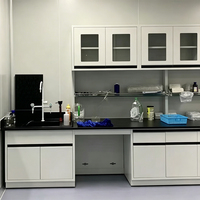 Table d'expérimentation murale avec armoire latérale suspendue et rangement intégré pour laboratoire
