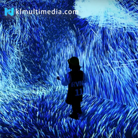 Projecteur mural de salles immersives 3D et expérience de salle de réalité virtuelle pour l'apprentissage et les jeux immersifs