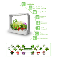 Croissance des herbes Petit Pot de fleur Plantation de légumes Système de germination Croissance en intérieur Culture hydroponique sans sol