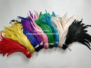 Vente directe d'usine : Plumes de coq, plumes de queue de coq, plumes de carnaval - Product Image 5