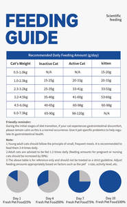 FurryFelicity High Quality Complete Dry Food Cats Small <strong>Breeds</strong> All Life Stages Keto Chicken Turkey Low Carb Healthy Meat Protein - Product Image 4
