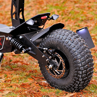 Trottinettes Électriques Pliables OEM pour Adultes, Puissantes, 3000W 2000W, Type Citycoco, pour Fabricants