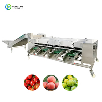 Petite machine de tri des fruits Machine de tri des dates Machines de traitement des fruits
