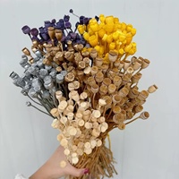 Coquelicot séché couleur personnalisée en gros, matériau pour arrangements floraux DIY, décoration esthétique intérieure, fournitures florales pour table de mariage