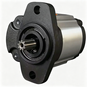 Bomba de Engranajes de Hierro Fundido de Alta Presión para Transferencia y Aplicaciones Químicas - Product Image 2
