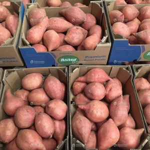 Ligne de production automatique personnalisée de patates douces avec friteuse pour légumes et produits céréaliers, ligne de nettoyage - Product Image 4