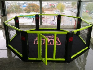 FIGHTBRO Usine <span class=keywords><strong>Prix</strong></span> bas Cages internationales <span class=keywords><strong>UFC</strong></span> de MMA et d'octagon de grappling - Product Image 6