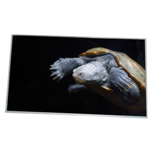 Écran LCD TFT durable LM300W01-STA2 de 30,0 pouces, résolution 2560*1600, panneau d'affichage LCD TFT neuf - Product Image 1