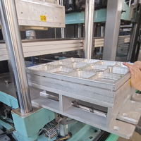 Industriële hoogwaardige multi-station thermoformmachine voor wegwerpverpakkingen, fruitbakken & kwekerspotten