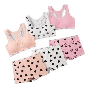 Conjunto de Ropa Interior Deportiva Transpirable de Poliéster/Algodón para Estudiantes, Chicas en Pubertad, Chaleco Deportivo, Sujetador para Escuela Secundaria, Tallas Grandes - Product Image 5
